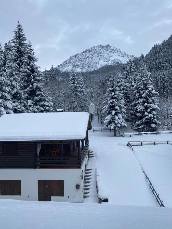 Le Chalet D'Or Padola Luaran gambar